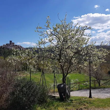 Castello Delle Fornaci Apartment