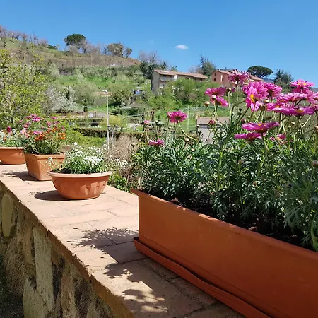 Apartment Castello Delle Fornaci Grosseto