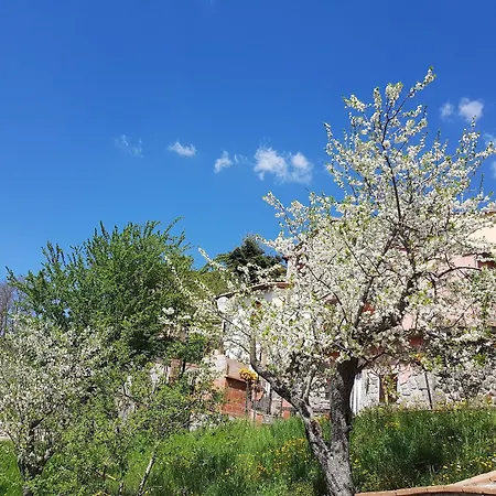 Castello Delle Fornaci Apartment