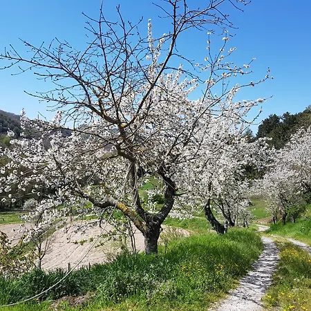 Castello Delle Fornaci Appartement
